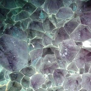 Meet your Posher, Misty